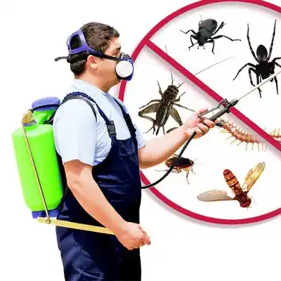 pest control North Sea